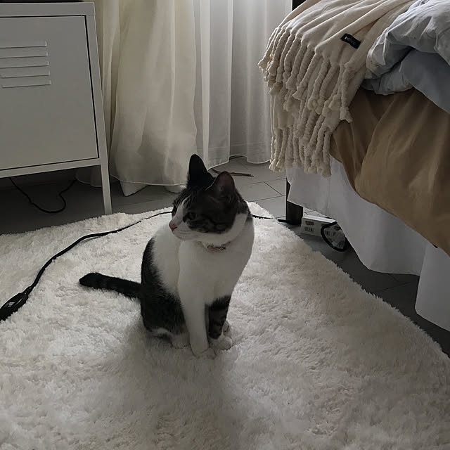 Shihoさんの実例写真