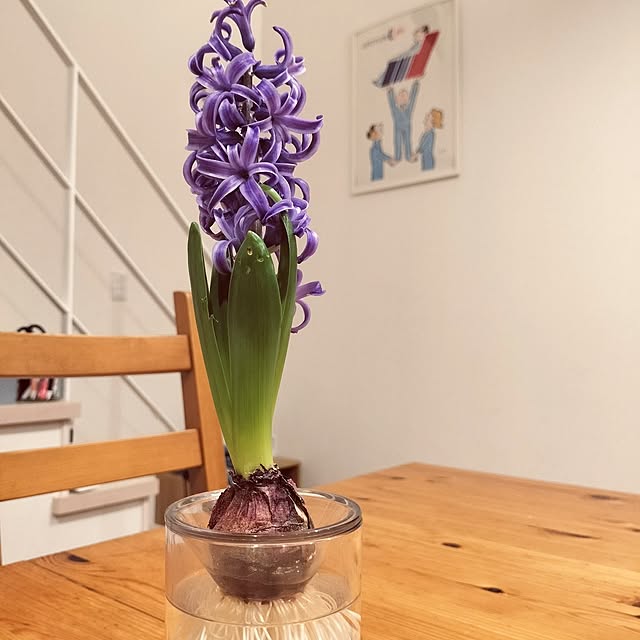 ayumiさんの実例写真