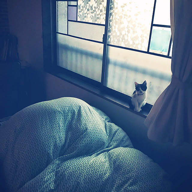 maroさんの実例写真
