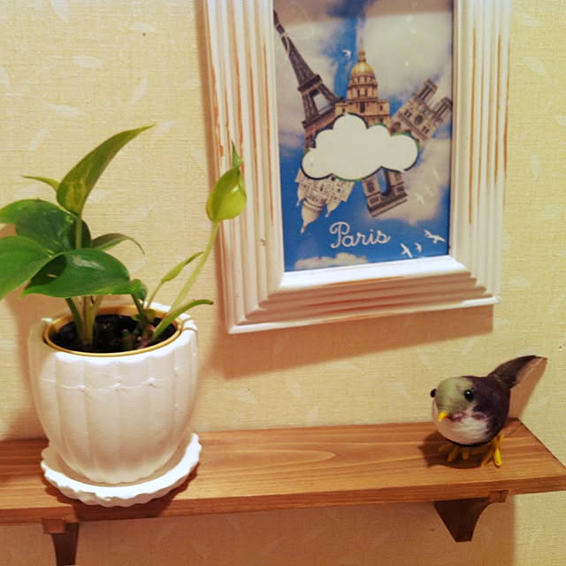 Yukoさんの実例写真
