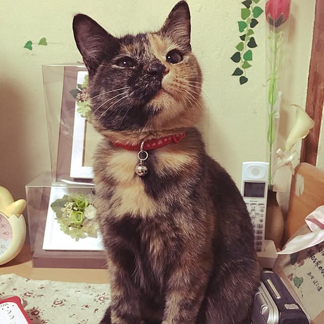 nmeeeさんの実例写真
