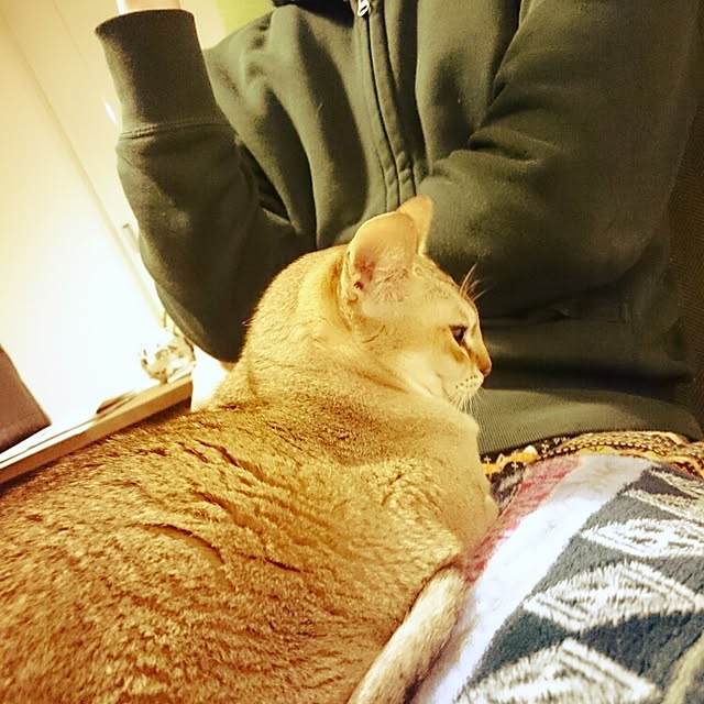 Jcさんの実例写真