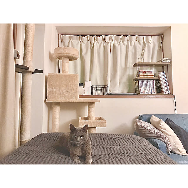 hiさんの実例写真