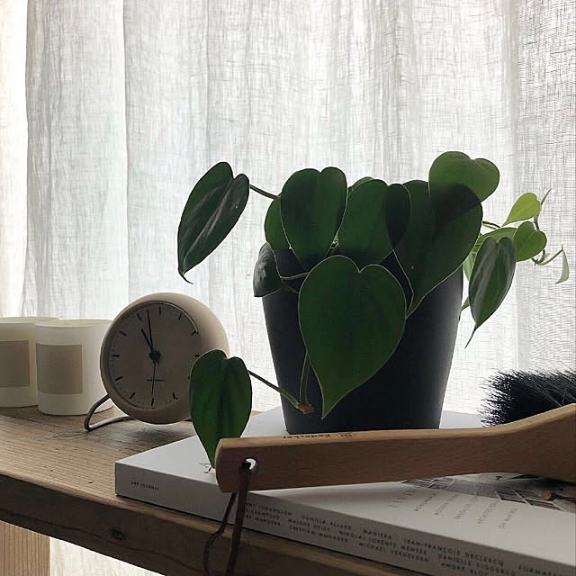 HIROさんの実例写真