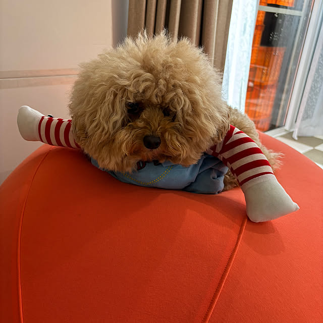 bonjiri0824さんの部屋