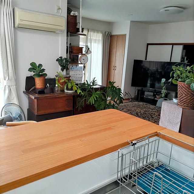 salacocoさんの部屋