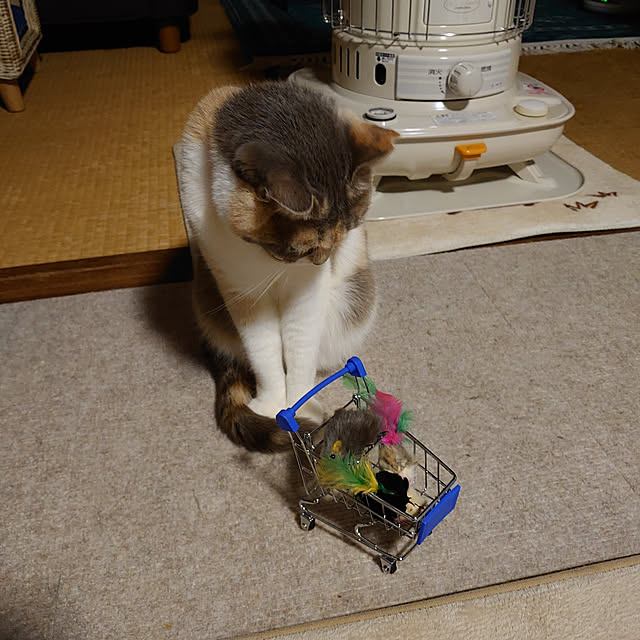 fukuさんの実例写真