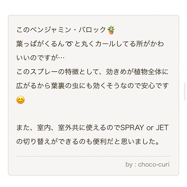 choco-curiさんの部屋