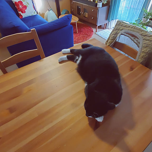 Umeko.さんの実例写真