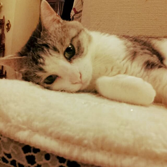 emmyyさんの実例写真