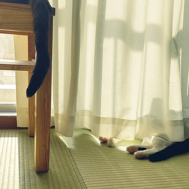 hihaさんの実例写真