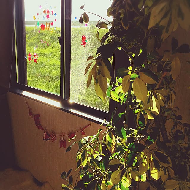 Miho.Tさんの実例写真