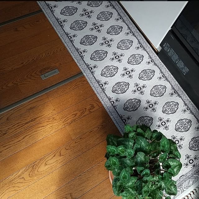 Renさんの部屋