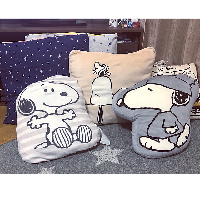 Saさんの実例写真