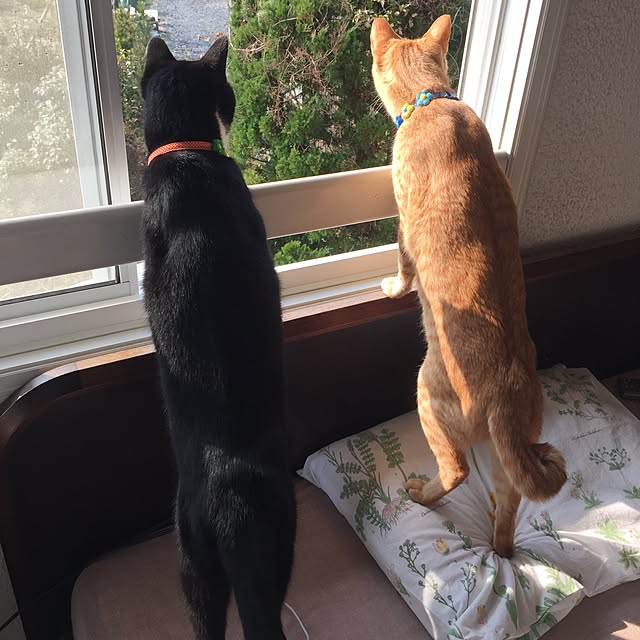 mtkさんの実例写真