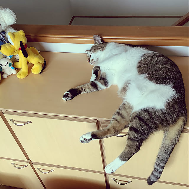 haruminさんの実例写真