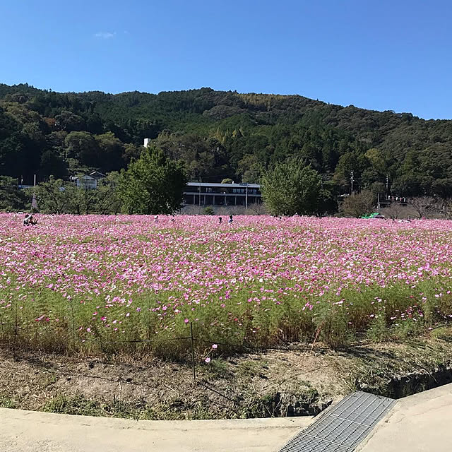Vakiさんの実例写真