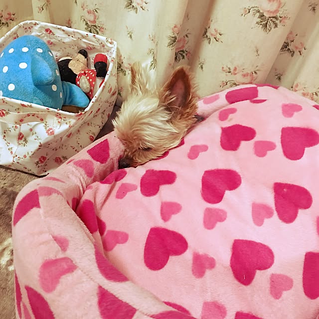 ss525さんの実例写真