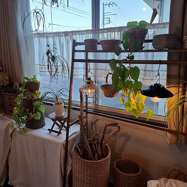 midoriさんの部屋