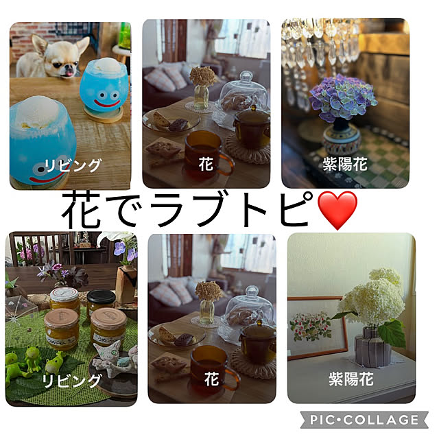 CoCo0617さんの実例写真