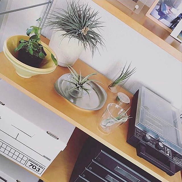 Mさんの実例写真