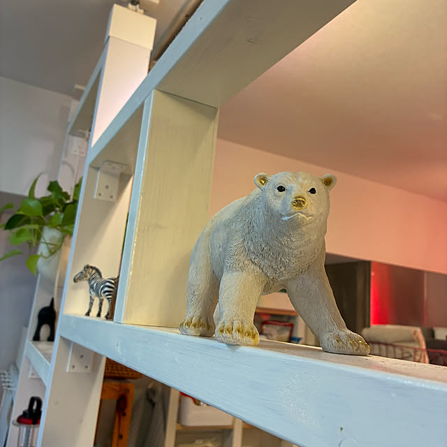 koshiregutyoさんの部屋