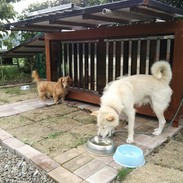 tetsuさんの実例写真