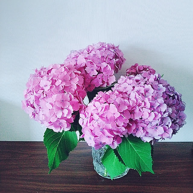 waniwaniさんの実例写真
