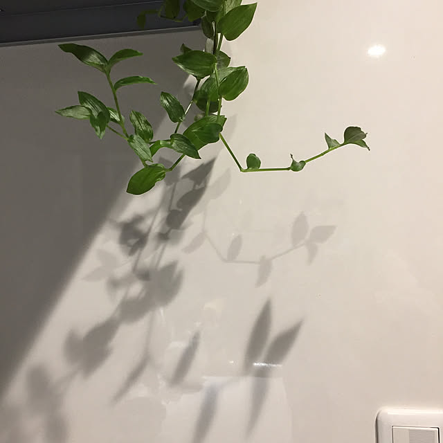 buchiさんの実例写真