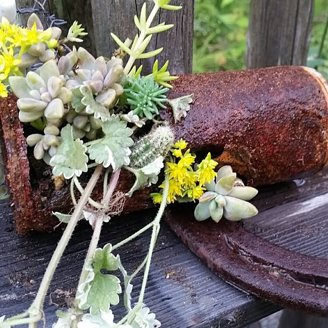 44039ponさんの実例写真