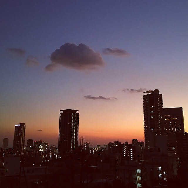 実例写真