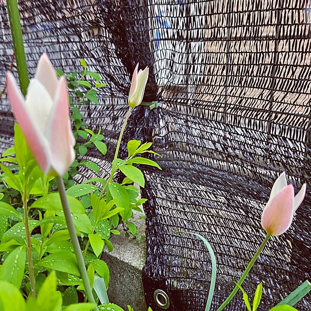 mocomocoさんの部屋