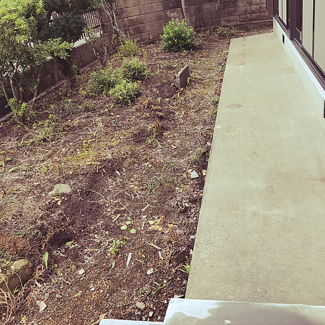 tssさんの実例写真