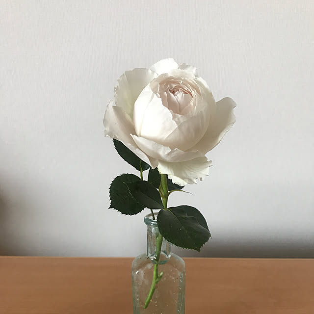 plumさんの実例写真