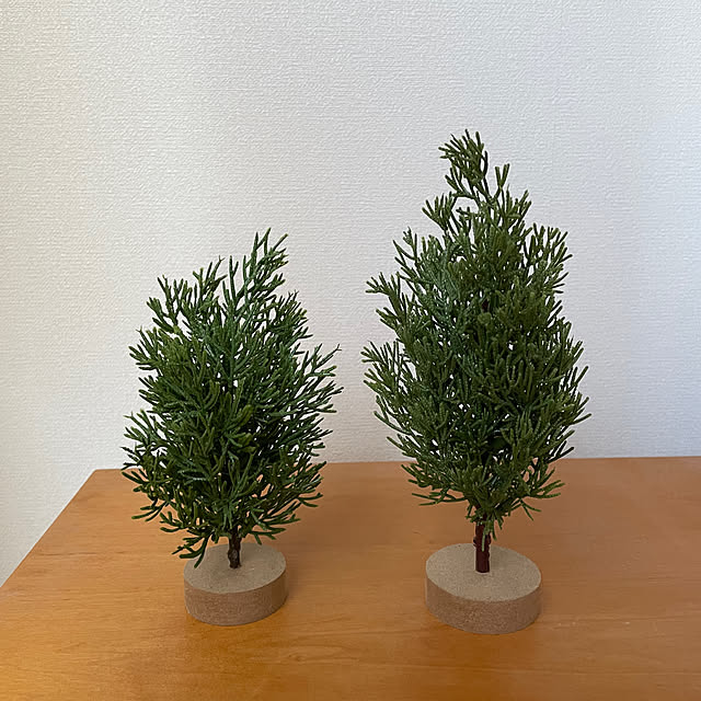 nukularaさんの部屋