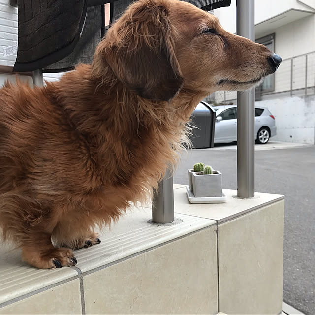 MIUさんの実例写真