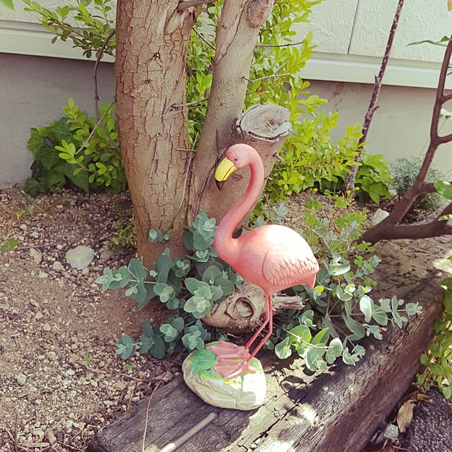 coconaさんの実例写真