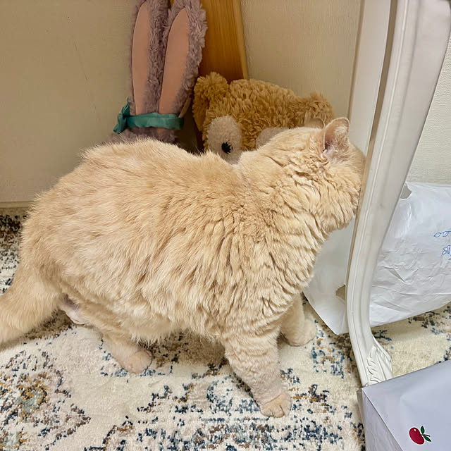 naokoさんの部屋