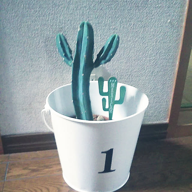 satoさんの実例写真