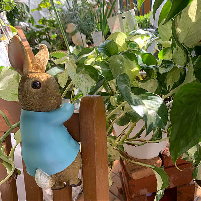 Aqettyさんの実例写真