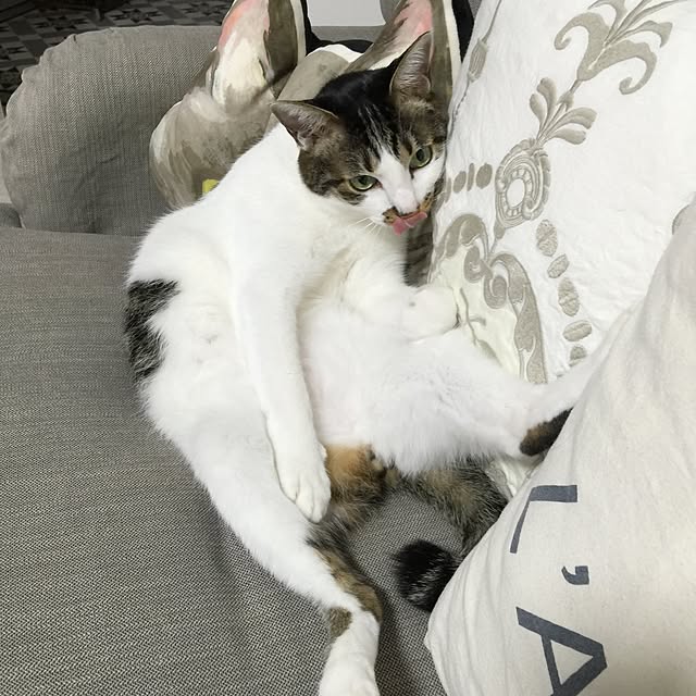 yuchiさんの実例写真