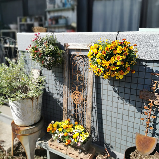 haxtusi301さんの実例写真