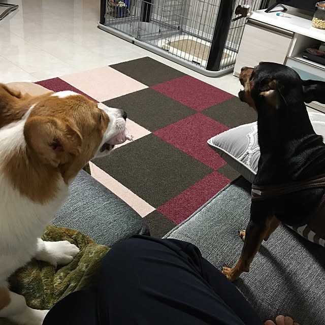 ayamochanさんの実例写真