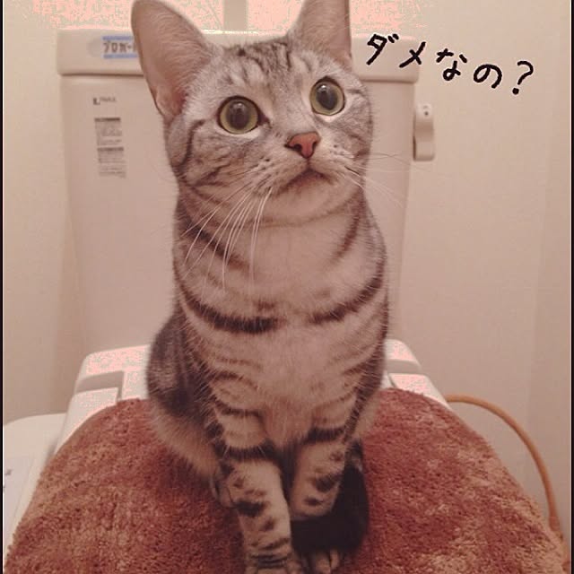 non7023さんの実例写真
