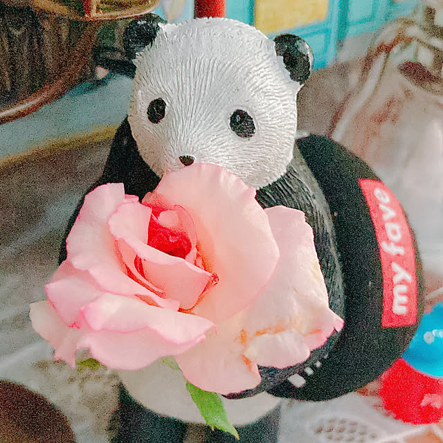 Hanakaさんの部屋