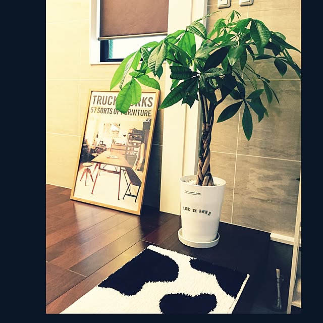 etsurio.ryuさんの実例写真