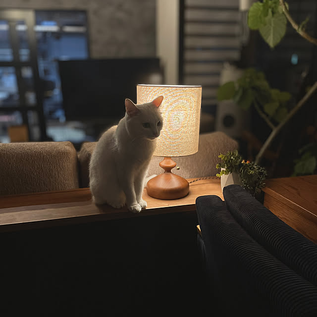 Yukinekoさんの部屋
