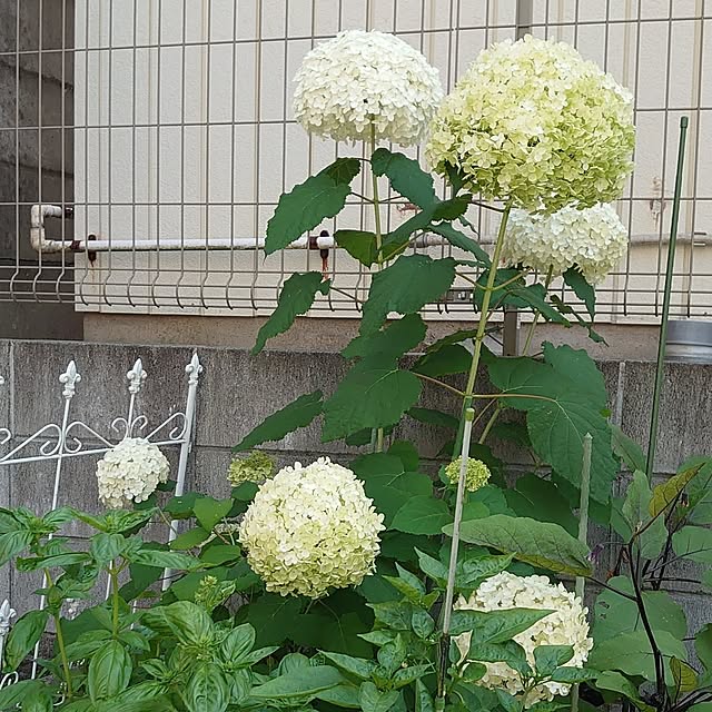 mri96さんの部屋