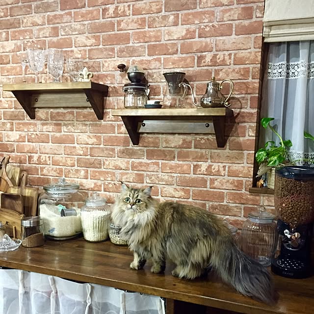 butachanさんの実例写真