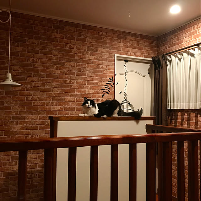 butachanさんの実例写真
